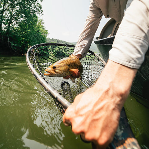 Blue Ridge Fly Fishing Getaway w/Wesley Hodges
