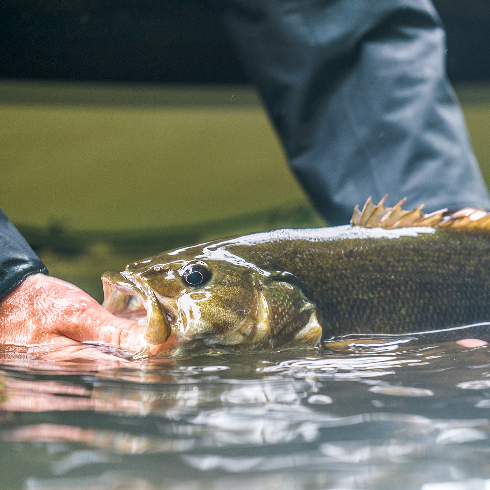 Blue Ridge Fly Fishing Getaway w/Wesley Hodges - Blue Delta Jeans