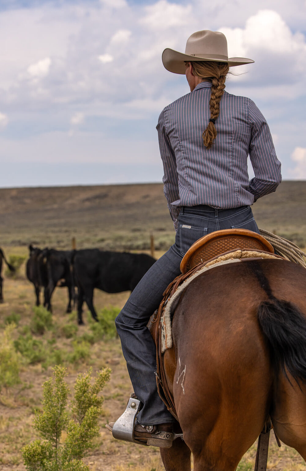 Woman in raw denim jeans on horseback, looking over a herd of cattle