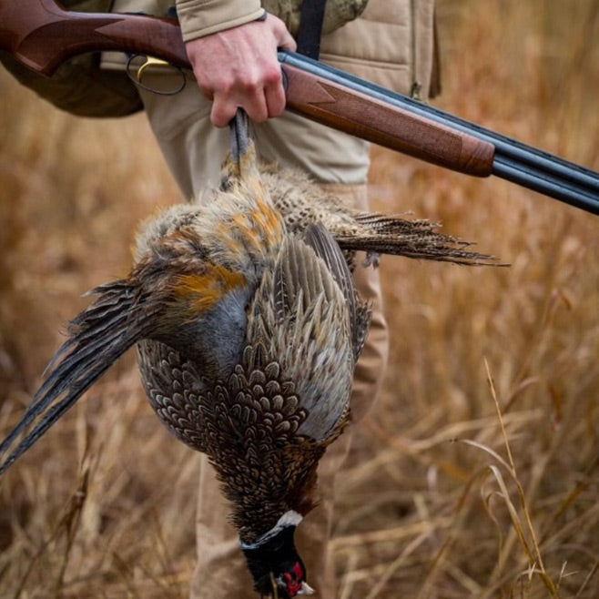 Pheasant Swag Note Card